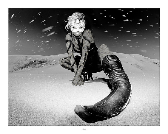 16x20 - Elyse - Sandstorm - 2008 - D - eafoto - horizontal
