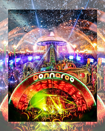 16x20 - Bonnaroo - Collage - eafoto
