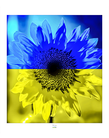 11x14 - For Ukraine - 2022 - eafoto