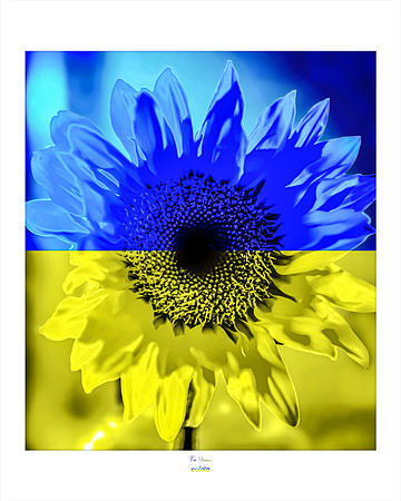 8x10 - For Ukraine - 2022 - eafoto
